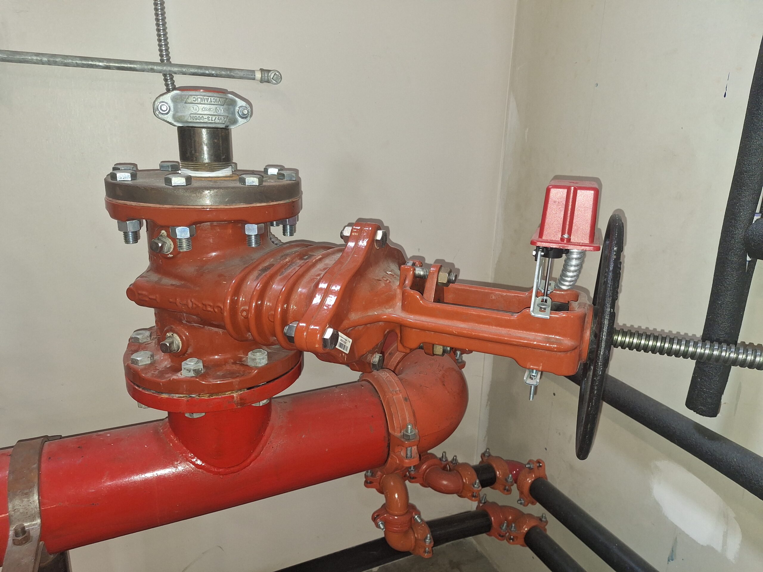 Backflow Preventer Testing in Austin: Why It’s Mandatory and How to Avoid Violations