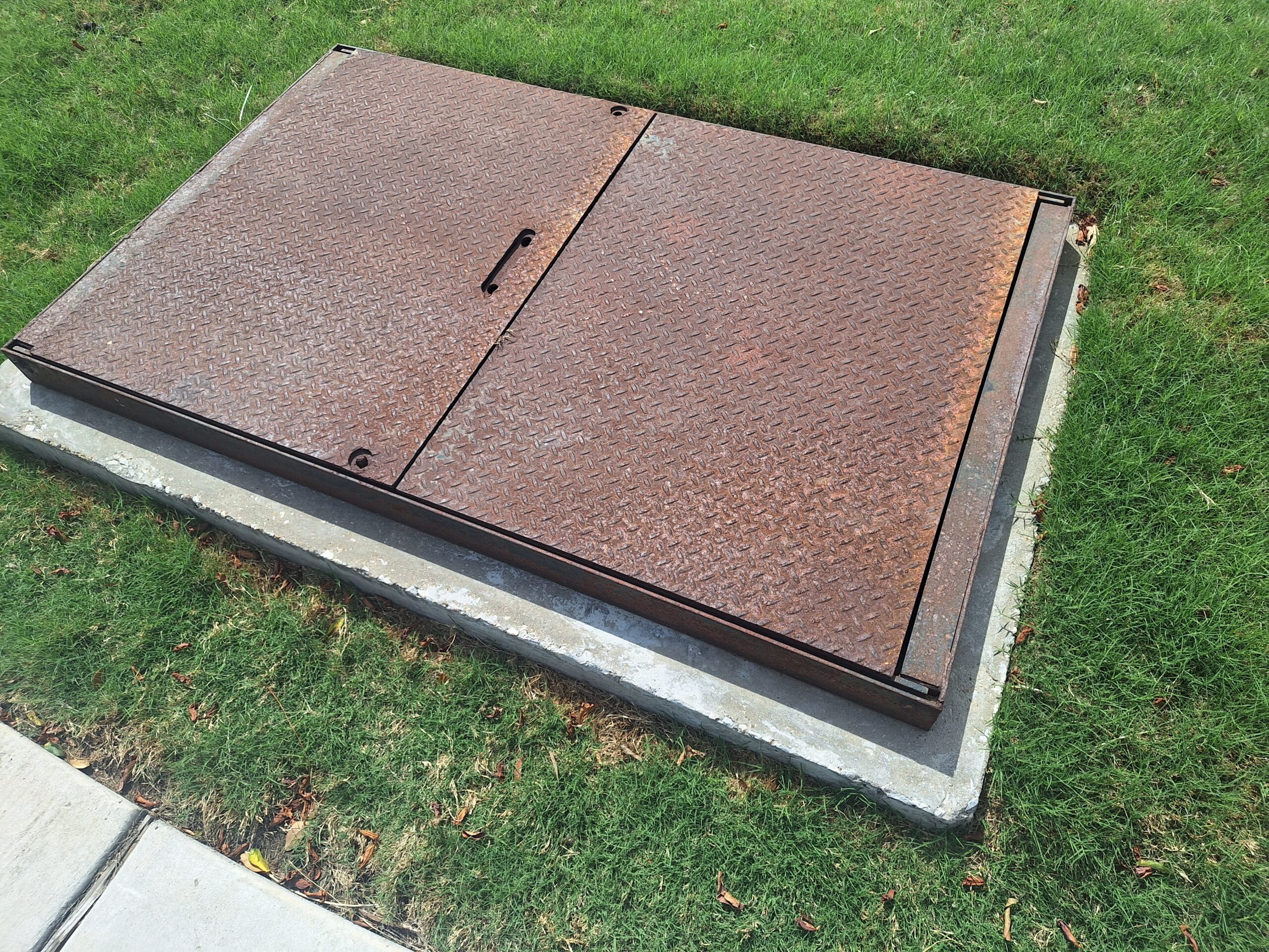 Two metal access doors on a sidewalk opening to an underground vault containing a commercial fire line backflow preventer assembly.